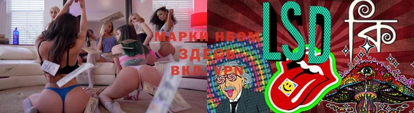 гидропоника Покачи