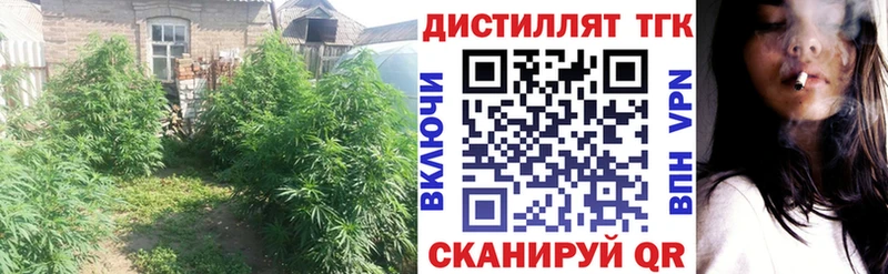 OMG ссылка  Каневская  Дистиллят ТГК вейп с тгк 