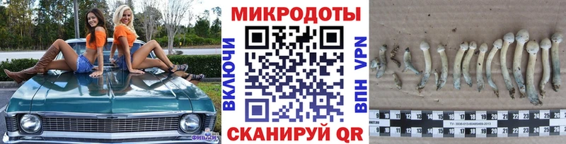 как найти закладки  Каневская  Галлюциногенные грибы MAGIC MUSHROOMS 